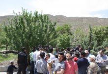 گزارش تصویری از همایش پیاده روی کارکنان در 22 اردیبهشت ماه 